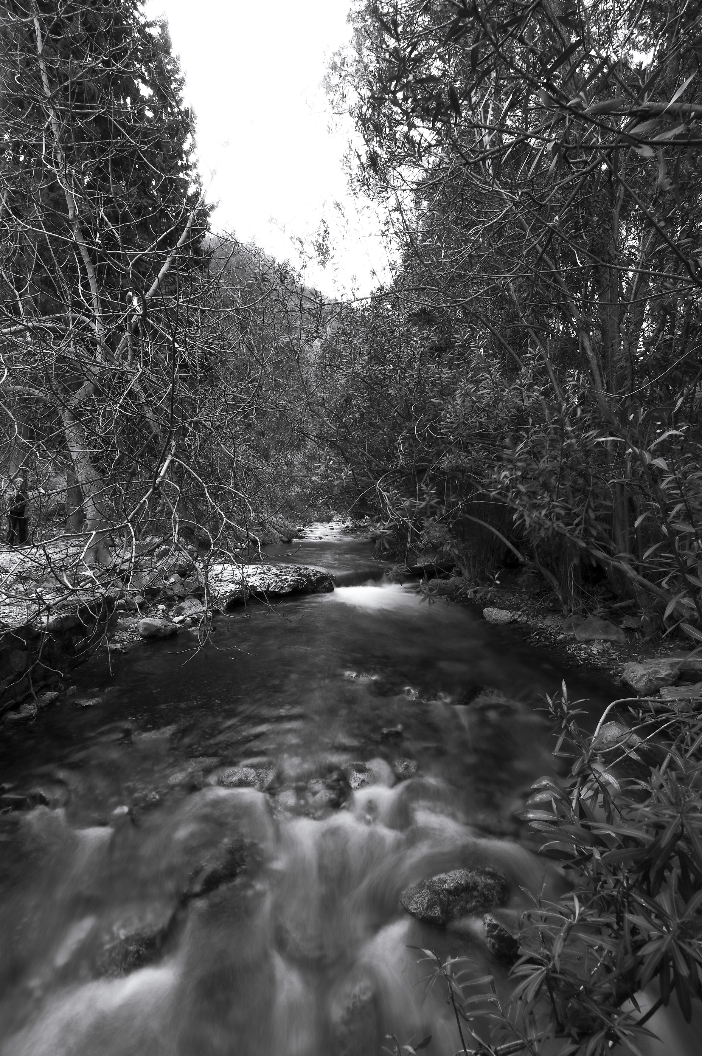 2026-03-14 SALIDA BEDMAR Y ALBANCHEZ DE MÁGINA